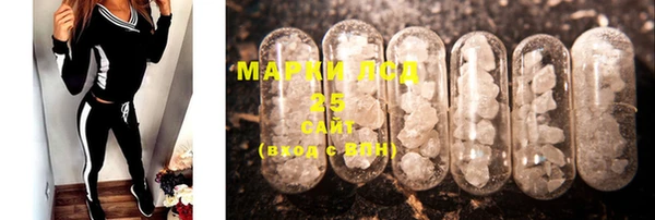индика Белоозёрский
