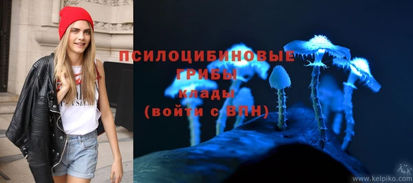 таблы Белокуриха
