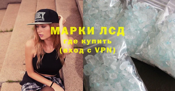 spice Беломорск
