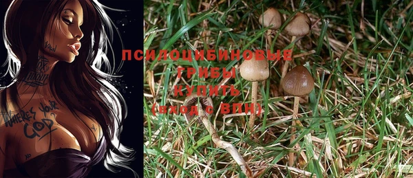 MDMA Богданович